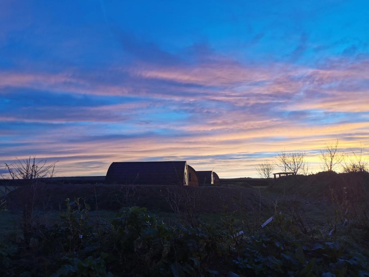 Glamping Pods Nr Port Isaac Villa Екстериор снимка